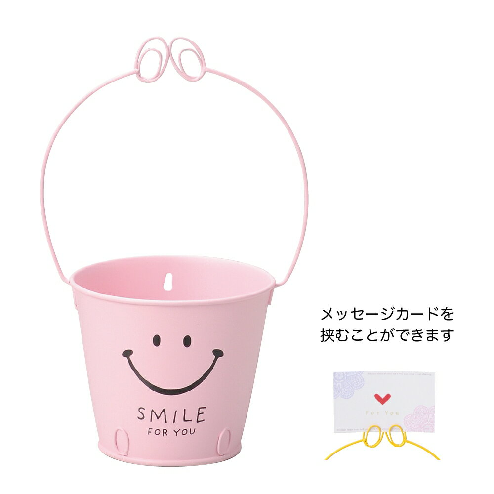꡼ϥ GREEN HOUSE ޥ֥ꥭ ξǤ 4530ޥ֥ꥭξǤ