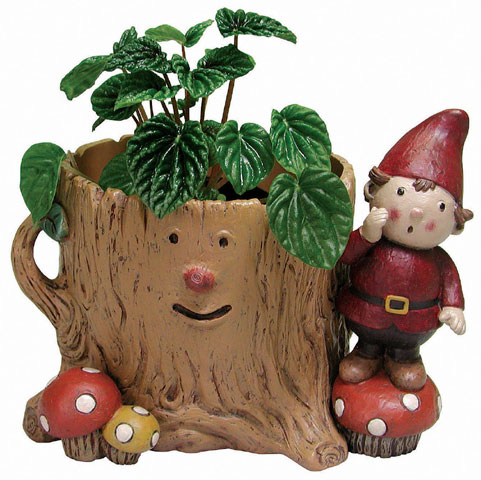 【4号ポット】ドワーフのプランターカバーツリー　ヤッホー（赤）