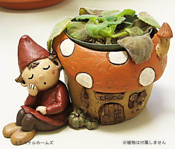 【3号ポット】ドワーフプランターカバーきのこハウス