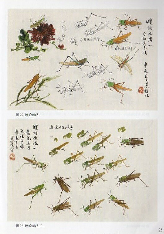 草虫　写意花鳥画技法10　中国語墨絵の描き方　中国絵画/草虫　写意花鸟画技法 3