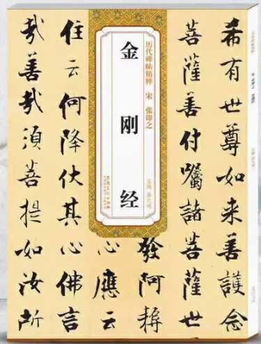宋　張即之　金剛経　歴代碑帖精粋　中国語書道/张即之　历代碑帖精粹