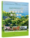 多彩な黄山植物 大美黄山自然生態名作叢書 中国語版書籍/多姿多彩的黄山植物
