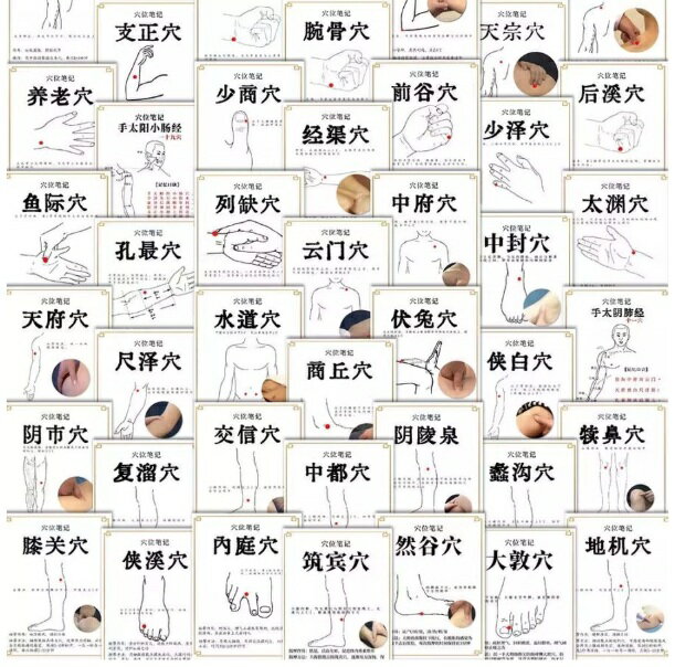ツボ　カード　60枚入り　健康養生知識　中華伝統保健文化　中国語版漢方健康法/健康养生穴位　知识按摩贴纸　中医经络穴位科普diy装饰贴画自粘 2