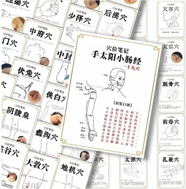 ツボ　カード　60枚入り　健康養生知識　中華伝統保健文化　中国語版漢方健康法/健康养生穴位　知识按摩贴纸　中医经络穴位科普diy装饰贴画自粘 3