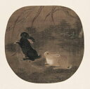 『双兎図頁』 作者不詳 明時代 額画 高質印刷アート / 明·佚名《双兔图页》 单页画心