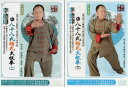 李徳印八十八式楊式太極拳 上下2枚 武術・太極拳・気功・中国語DVD/李徳印八十八式杨式太极拳 上下