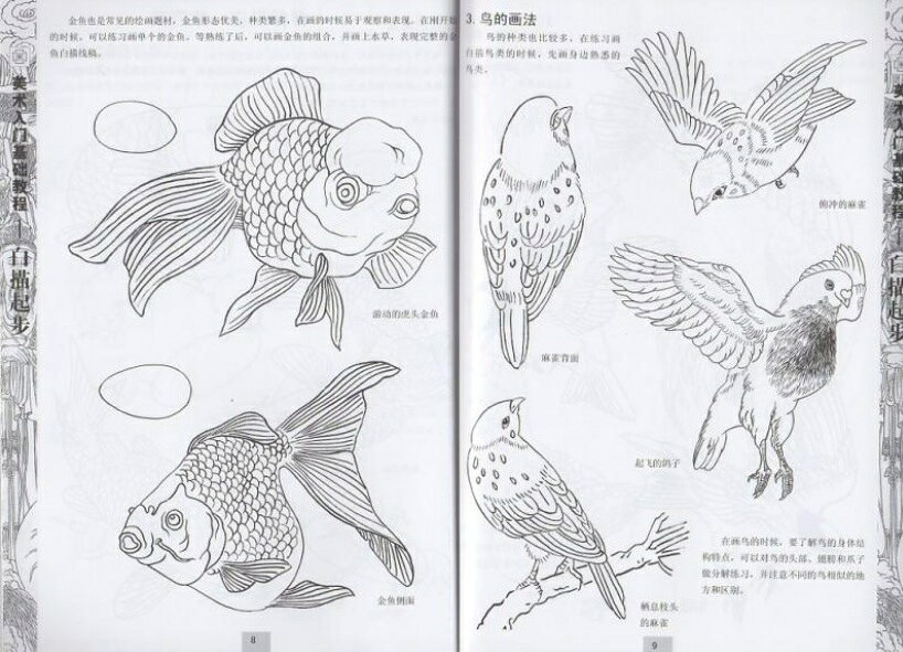 中国の本屋の白描起歩　美術入門基礎教程　中国絵画/白描起步　美术入门基础教程｜アングル2