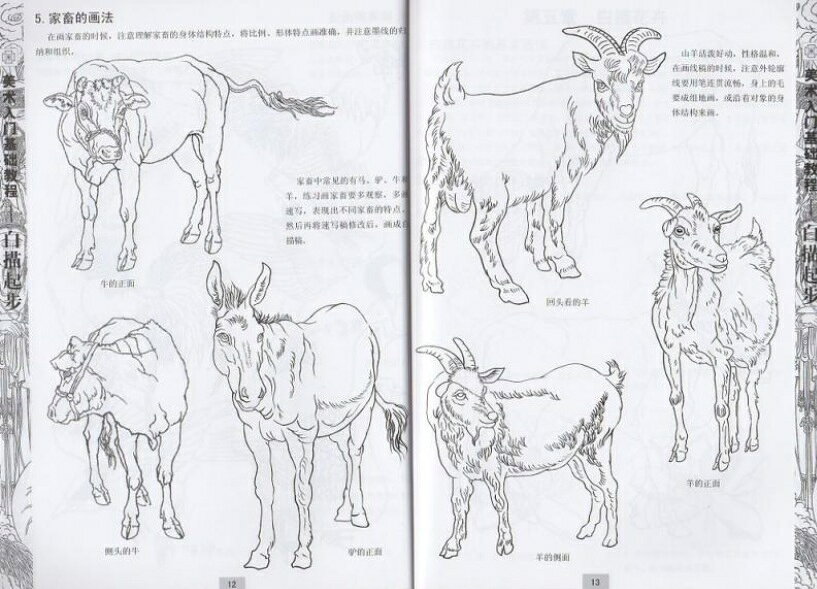 中国の本屋の白描起歩　美術入門基礎教程　中国絵画/白描起步　美术入门基础教程｜アングル3