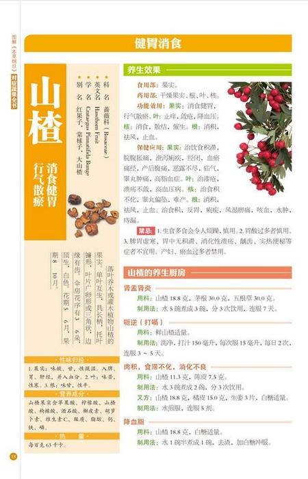 図解本草綱目 対症果蔬全書 中国語版書籍/&#...の紹介画像2