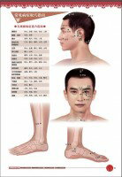実用経絡穴位多図解　健康養生　中国語版書籍