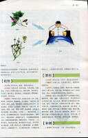 中国の本屋の本草綱目　国学典蔵館　釈文と解釈付き絵本　人文思想　中国語版書籍｜アングル3