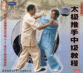 太極推手中級教程　太極系列　VCD2枚　武術・太極拳・気功・中国語VCD