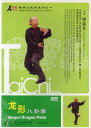 龍形八卦掌 単貴文武術系列1 武術・太極拳・気功・中国語版DVD