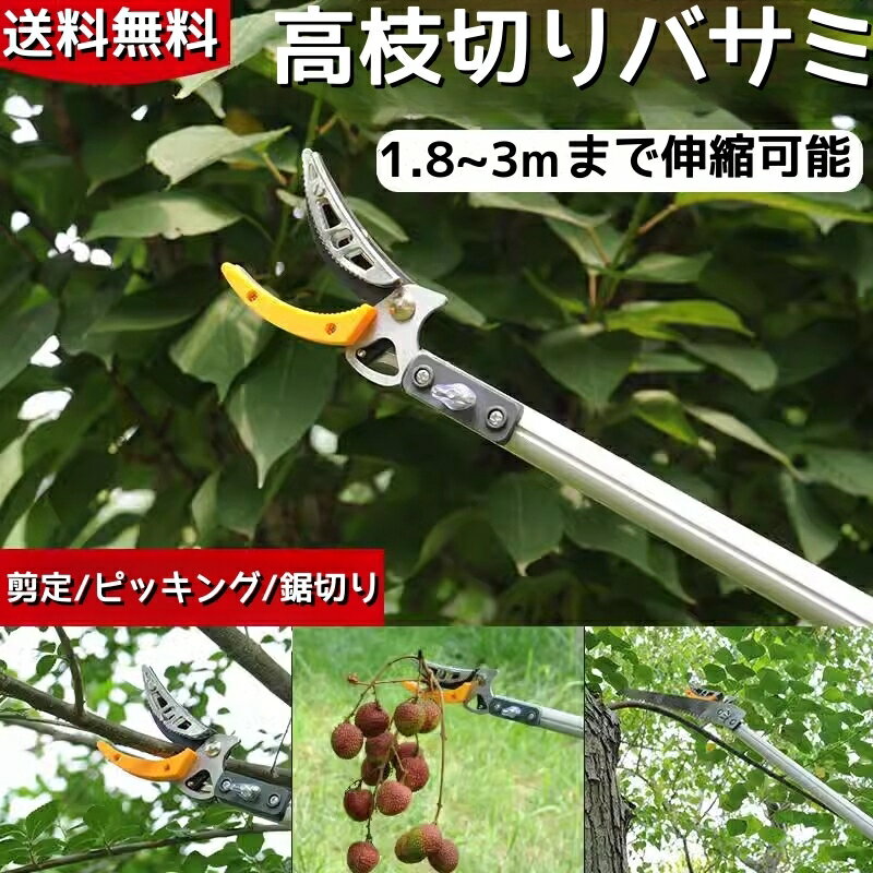 【レビュー特典付き】高枝切りバサミ 高枝切鋏 3m 枝切り 高枝切りノコギリ 1.8~3m 採果 キャッチ 高枝切り 剪定鋏 伸縮可能 伸縮式高枝切り鋏 高所太枝切鋏 フルーツピッカー機能 園芸 はさみ ガーデニング用品 樹 庭 木 花園 果樹 林業 切れ味