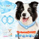 【日本製】クールリング 犬 24℃ ネッククーラー 繰り返し使用可能 犬用 猫用 冷却リング 【ボタン付き】 ペット用冷却リング ネックアイスリング 散歩 冷感...