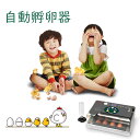 【半額|P2倍+最大300円OFF】【楽天1位】自動孵卵器 孵卵器 自動転卵 インキュベーター 恒温器 自動給水 鳥類専用ふ卵器 孵化器 ニワトリ アヒル 鶏卵...