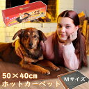 【100円割引＆ポイント2倍】ペット用ホットカーペット スマート恒温 50×40cm ペット ヒーター マット 猫 犬 冬 暖房 器具 小型犬 電気毛布 電気ヒーター IP67防水 専用カバー2枚付属 過熱保護 噛み癖対策 難燃保護