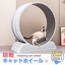 【5/15限定|1000円OFF+P5倍】キャットホイール 猫 ルームランナー 木製 ランニングホイール キャットウォーク 回転 猫ホイール 室内運動用 回し車...