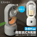 【新品発売★10倍ポイント】扇風...