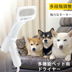 犬猫用品 ペット吸毛器 服に 部屋の中 テーブルに ミニ携帯 強力なモーターを搭載し マサジー感 掃除便利 低騒音 毛取りコーム ペット用 犬 猫 中型 小型 長毛 短毛兼用 電動 吸毛器 犬猫用品