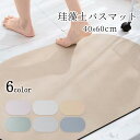 【新生活応援】珪藻土バスマット 珪藻土マット 40cm×60cm プレゼント バスマット 速乾 吸水 おしゃれ 可愛い 洗える キッチンマット 大きめ 抗菌 防...