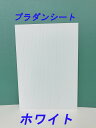 プラダンシート 910x1820 ホワイト(10枚セット)(...