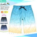 送料無料 水着 男の子 海パン 子供 サーフパンツ スイムウェア キッズ ジュニア ブランド 子ども スイムパンツ スイムウエア 男子 青 紺 グラデ 120c...