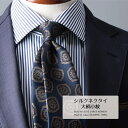 【エントリーでポイント2倍】 ネクタイ プレミアム ブランド 山梨 シルク 甲斐絹 大柄小紋 5colors おしゃれ 日本製 国産 ギフト プレゼント 高級 新社会人