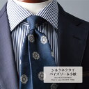 【エントリーでポイント2倍】 ネクタイ プレミアム ブランド 山梨 シルク 甲斐絹 ペイズリー&小紋 6colors おしゃれ 日本製 国産 ギフト プレゼント 高級 新社会人