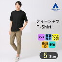 【洋服の青山】尾州産地 ウール100% Tシャツ メンズ S