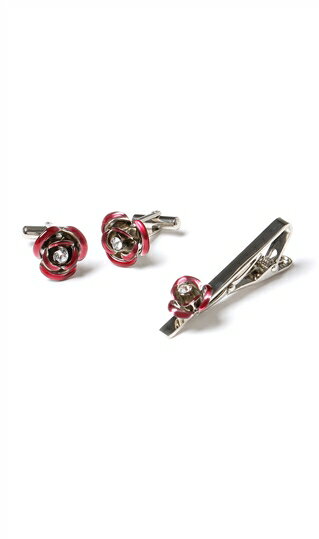 【洋服の青山】\オンラインストア限定/ レッド系 タイバー&カフリンクス CELEBRATE collection