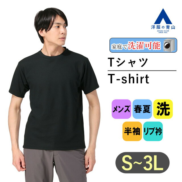 Tシャツ メンズ 半袖 大きいサイズ 春夏 ブラック 黒 鹿の子 EASYCARE ウォッシャブル洗える リブ衿 ポリエステル100% トップス メンズファッション ティーシャツ おしゃれ かっこいい アクティブポロシャツ ACTIBIZ シャツ カジュアル 厚手 大きいサイズ