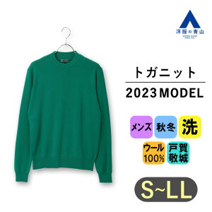 【洋服の青山】【楽天ランキング6位入賞】2023年モデル トガニット クルーネックセーター メンズ 秋冬用 グリーン系 緑 無地 ウォッシャブル 洗える ニット ウール100% ビジネス カジュアル ビジカジ 20代 30代 40代 50代 おしゃれ かっこいい HILTON