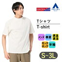 Tシャツ メンズ 半袖 大きいサイズ 春夏 ホワイト 白無地 モックネック 調温調湿 CONTROLα 快適 ビジネス カジュアル ビジカジ トップス シンプル ティーシャツ スーツ インナー かっこいい おしゃれ ACTIBIZ ゴルフ シャツ カジュアル 厚手 大きいサイズ