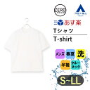 【洋服の青山】《あす楽》ボディワイルド ゼロプレッシャー Tシャツ メンズ 半袖 春夏用 ホワイト系 白無地 洗える ウォッシャブル 家庭洗濯 クルーネック 丸首 ヘビーウェイト トップス ティーシャツ 男性 BODY WILD×A ZERO PRESSURE SUIT