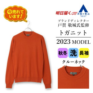 【洋服の青山】2023年モデル トガニット クルーネックセーター メンズ 秋冬用 オレンジ系 無地 ウォッシャブル 洗える ニット ウール100% ビジネス カジュアル ビジカジ 20代 30代 40代 50代 おしゃれ かっこいい HILTON