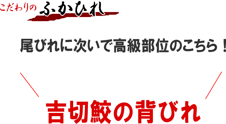 お待たせしました 入荷しました！ 訳あり ふかひれ姿煮 背びれ フカヒレ 約90g+上湯スープ200g 計290グラム わけあり 最高級 国産 国内加工 吉切鮫 背ビレ 完売次第終了 お中元 鮫 ヒレ グルメ プレゼント 内祝 母の日 父の日 コラーゲン 高タンパク質 2