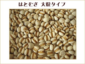 はと麦400g大粒タイプですメール便対応他商品と同梱可(合計2個まで)、メール便は代引不可【おうち中華】【RCP】