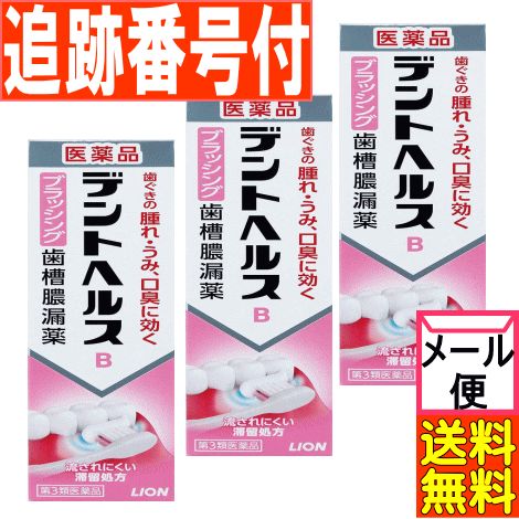 【3個セット】【第3類医薬品】デントヘルスB ブラッシング歯槽膿漏薬 45g【メール便送料無料/3個セット】