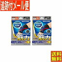 【2個セット】テルコーポレーション スポーツギア アフォーダンスサポーター筋力 ひざLL(ひざまわり40〜47cm) 【メール便送料無料/2個セット】