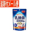 【メール便送料無料】山本漢方 乳酸菌粒 90粒(4)
