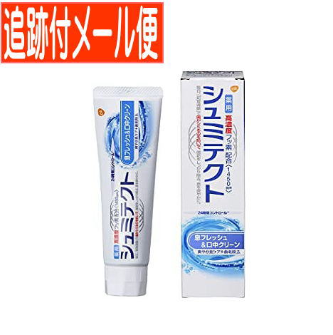 【メール便送料無料】薬用シュミテクト フレッシュ＆クリーン 90g【医薬部外品】 1