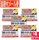 【5個セット】【第(2)類医薬品】デルマレチゾンPVクリーム 10g 新新薬品【メール便送料無料/5set】