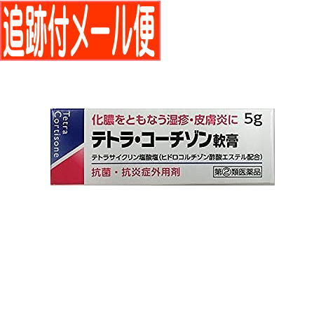 【メール便送料無料】【第 2 類医薬品】テトラコーチゾン軟膏 5g