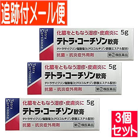 【3個セット】【第(2)類医薬品】テトラコーチゾン軟膏　5g【メール便送料無料/3個セット】