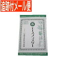 【メール便送料無料】【第3類医薬品】エースプラスター 10枚入