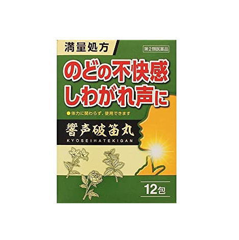 【第2類医薬品】響声破笛丸エキス顆粒G 12包