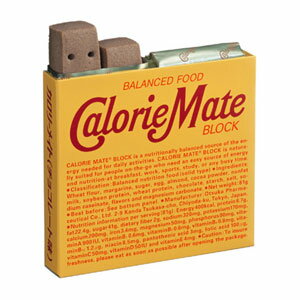 カロリーメイトブロック　チョコレート味　4本×10箱入
