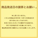 【クーポンあり】 母の日 昭和 レトロ お取り寄せスイーツ ギフト ラッピング無料 昔 懐かしラム酒の香るサバラン （直径約17センチ）5～6名様用 サバラン 暑中見舞 贈り物 ご贈答 お歳暮 敬老の日 送料無料 訳あり ポイント消化 プレゼント 誕生日 2