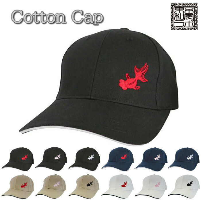 ���������� ���� ���åȥ󥭥�å� �����ɽ��� (���) ��100�� ̵�� HN0005-COKI